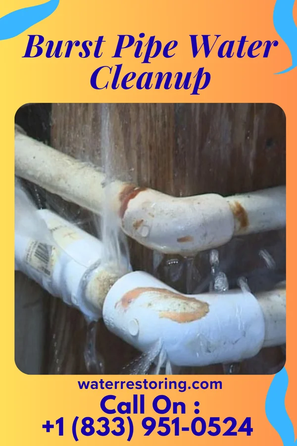 Burst Pipe Water Cleanup in Wisacky, SC