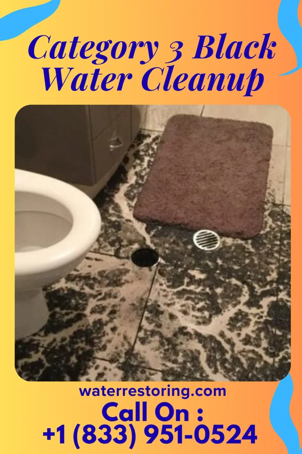 Category 3 Black Water Cleanup in Wisacky, SC