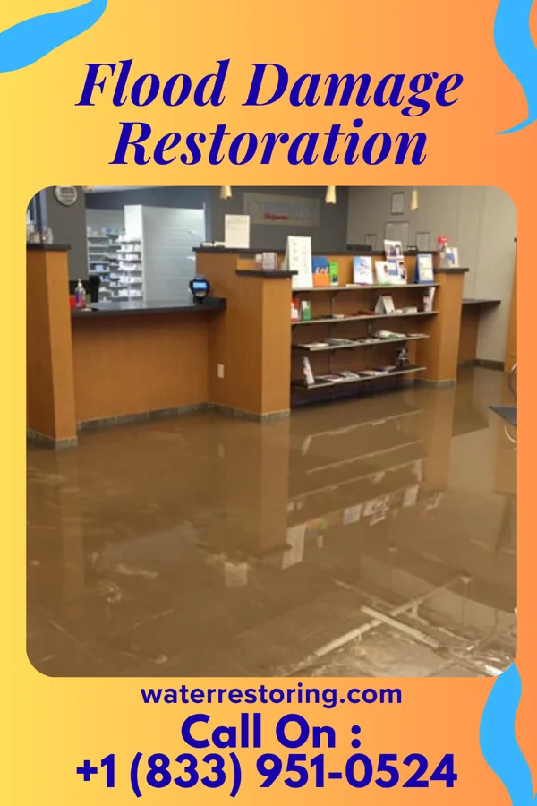 Flood Damage Restoration in Wisacky, SC