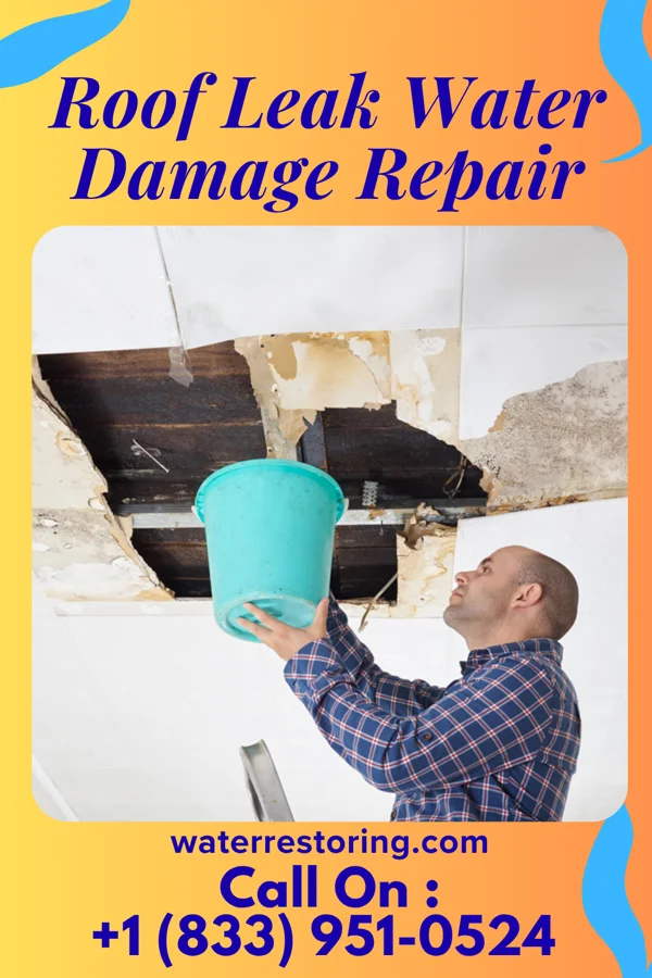 Roof Leak Water Damage Repair in Wisacky, SC