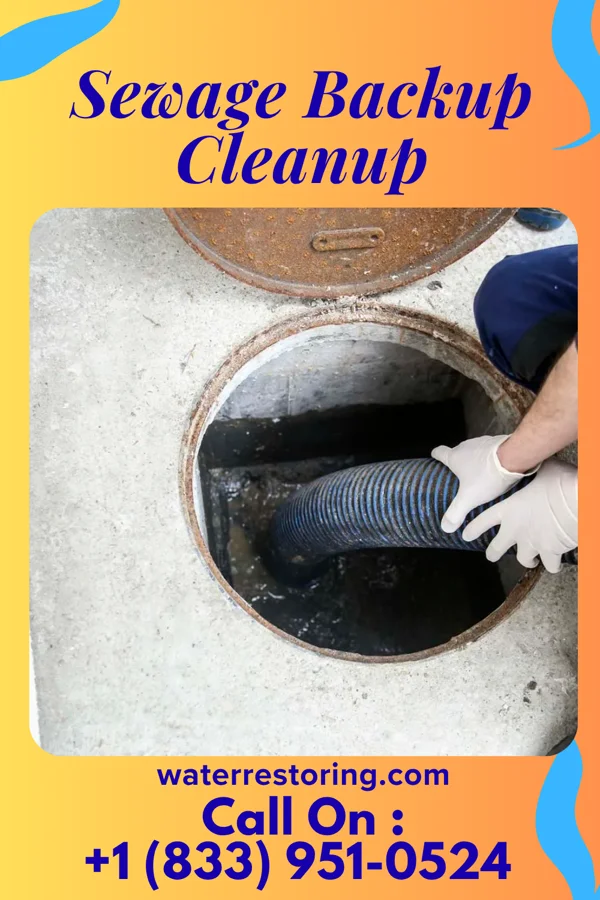 Sewage Backup Cleanup in Wisacky, SC